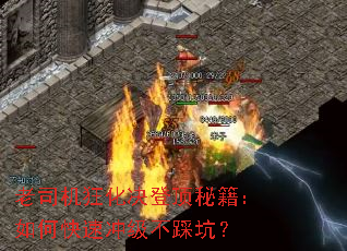 ��˾���񻯾��Ƕ��ؼ�����ο��ٳ弶���ȿӣ�