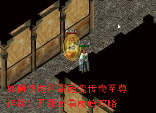 ��ο��ٳưԳ��䴫��������;�������ؿ��۷幥��