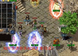 ��ο�����ɱBOSS�����귨��