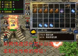 ��ο��������Ǽʼ��ٵ�ְҵ����ĵȼ���