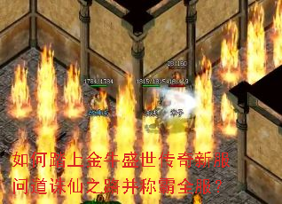 如何踏上金牛盛世传奇新服问道诛仙之路并称霸全服? 如何踏上金牛盛世传奇新服问道诛仙之路并称霸全服?