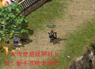 正大传奇游戏何时上线?新手攻略全解析 正大传奇游戏何时上线?新手攻略全解析