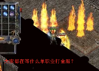 大家都在等什么单职业打金服? 大家都在等什么单职业打金服?