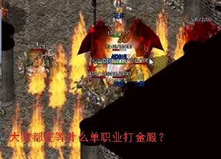 大家都在等什么单职业打金服? 大家都在等什么单职业打金服?