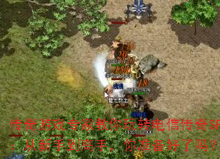 传奇游戏专家教你玩转电信传奇SF:从新手到高手,你准备好了吗? 传奇游戏专家教你玩转电信传奇SF:从新手到高手,你准备好了吗?