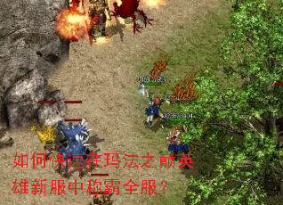 ��ο������귨֮��Ӣ���·��гư�ȫ����