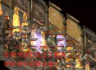 ��ο������귨֮��Ӣ���·��гư�ȫ����