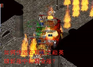 ��ο������귨֮��Ӣ���·��гư�ȫ����