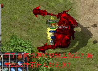 ������ο��ټ�ȡ������Ʒ������BOSS����ʲô��װ����