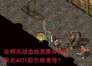 ��θ�Ч�����������ڲ��40ֻ��ɫ��Ӣ�֣�