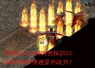 ������5166������̽203300249��ο�������ս����