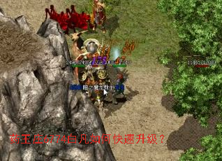 ҩ��ׯ6774�׷���ο���������