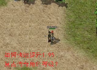 ��ο�������1.95���Ŵ����ɫ�ȼ���