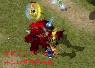 ��λ��ܴ���boss����ȡ��ר��װ����