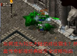 ��γ�Ϊ�귨��½���ռ���������Ѫ�����·��������ȫ����ָ��