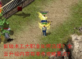 �°汾���ְҵ���ѡ��ȫ��������������Щ����Ҫ�㣿