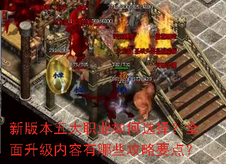 �°汾���ְҵ���ѡ��ȫ��������������Щ����Ҫ�㣿