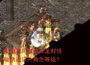 �������ѪȾ������Ұ����������ɫ�ȼ���