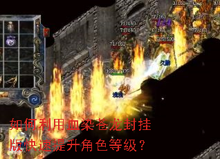 �������ѪȾ������Ұ����������ɫ�ȼ���