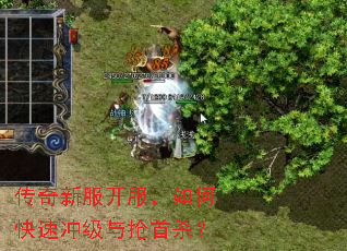 �����·���������ο��ٳ弶������ɱ��