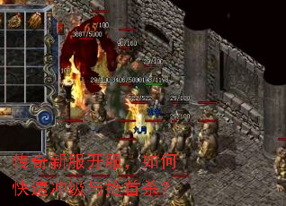 �����·���������ο��ٳ弶������ɱ��