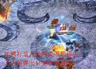 ��δ���ż�ʱװ�����������Ϲ�������ֻȫ�ռ����ԣ�