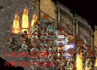 �������2500��ҽ��۱��������弶��