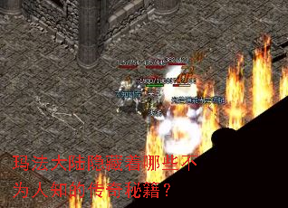 �귨��½��������Щ��Ϊ��֪�Ĵ����ؼ���