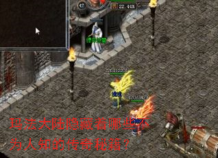 �귨��½��������Щ��Ϊ��֪�Ĵ����ؼ���