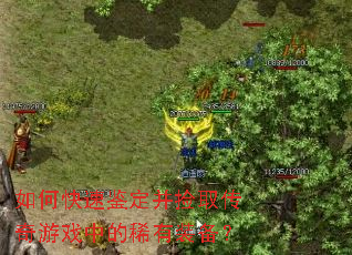 ��ο��ټ�������ȡ������Ϸ�е�ϡ��װ����