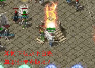 ������������԰ܵ�ְҵ����汾��