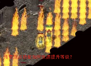 �����ݵ㹦����ο��������ȼ���