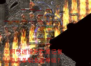 ��ο�����������Ǹ���΢�䵥ְҵ�ĵȼ���