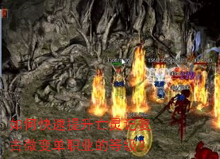 ��ο�����������Ǹ���΢�䵥ְҵ�ĵȼ���