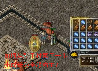 ��δ����ִ����һ�����ɳ�Ϊȫ��������