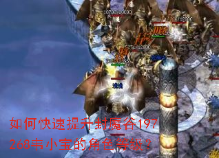 ��ο���������ħ��197268ΤС���Ľ�ɫ�ȼ���