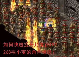 ��ο���������ħ��197268ΤС���Ľ�ɫ�ȼ���