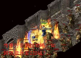 �����л��ݼ����ԣ���ο�������270����