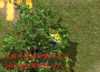 ��ο�������������2734���ֳ�Ӣ��ս������