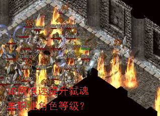 ��ο�������߱�굥ְҵ��ɫ�ȼ���