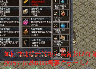 ��ο��������ȼ���װ����ȡ����Щ���ɣ���սBOSS��Ҫע��ʲô��