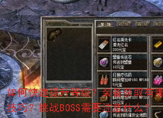 ��ο��������ȼ���װ����ȡ����Щ���ɣ���սBOSS��Ҫע��ʲô��