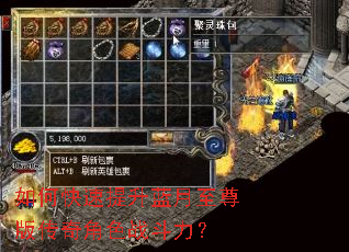 ��ο���������������洫���ɫս������