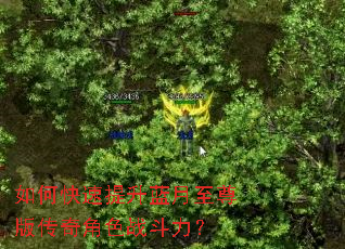 ��ο���������������洫���ɫս������