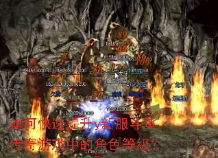 ��ο�������y�·����㴫����Ϸ�еĽ�ɫ�ȼ���