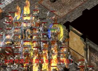 ��ο������ְ�����ְҵ���٣�