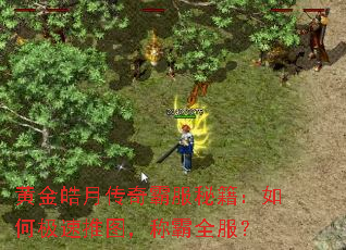 �ƽ���´���Է��ؼ�����μ�����ͼ���ư�ȫ����