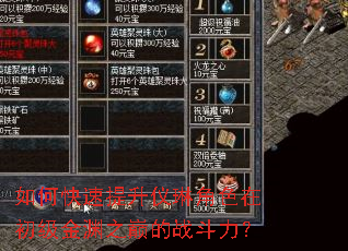 ��ο����������ս�ɫ�ڳ�����Ԩ֮�۵�ս������