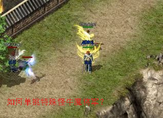 ��ε��������ţħ������