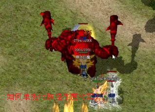 ��ε��������ţħ������